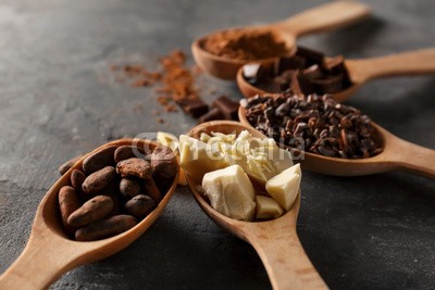 Africa Studio, Spoons with different cocoa products on grey background (antioxidans, hintergrund, bohne, braun, butte, schokolade, close-up, kakao, farbe, kochen, köstlich, nachspeise, diät, different, essen, essen, grau, gesund, zutaten, natürlich, schreibfeder, nährstoffe, objekt, organisch, pulver, produkt, produk)