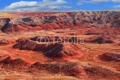 David Smith, Painted Desert National Park (afternoon, amerika, arizona, blau, schlucht, felsen, wolken, oden, dreck, sanddünen, abenddämmerung, erosion, abend, wald, geologie, boden, horizont, landschaft, tafelberg, national, natur, norden, orange, bemalt, park, versteinert, pflanze, rot, fel)