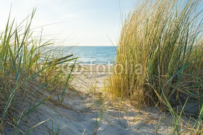 ThomBal, Dünengras am Meer (ostsee, stranden, sonnenuntergang, rügen, usedom, düne, sand, düne, meer, nordsee, sandstrand, küste, urlaub, wasser, himmel, gras, horizont, froh, gelassenheit, stille, landschaft, abendsonne, deutsch, polen, dänemark, wellness, sommer, time ou)