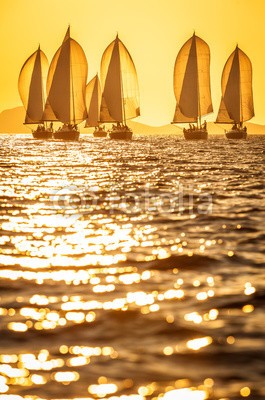 Pavel, Sailing boats with spinnakers racing on open sea during sunset (segel, boot, wettrennen, kroatien, yacht, gespann, meer, schiff, segelboot, nautisch, insel, welle, sonne, mittelmeer, wasser, matrosen, sommer, abenteuer, schönheit, gelb, weiß, himmel, farbe, drohne, frei, urlaub, horizont, landschaft, lebensstil, luxu)