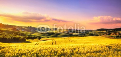 stevanzz, Tuscany spring, rolling hills at sunset. Rural landscape. Whaet, green fields and trees Italy (weizen, feld, toskana, landschaft, sonnenuntergang, baum, italien, sommer, landschaft, ackerbau, farmland, schöner, frühling, staat, kreta, zypresse, reiseziel, europa, feld, grün, urlaub, haus, hügel, italienisch, wiese, natur, park, pflanz)