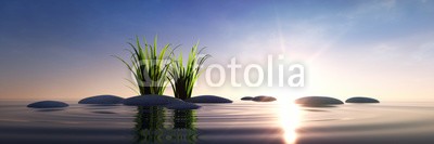 psdesign1, Steine mit Gras im Meer bei Sonnenuntergang (gras, steine, see, wasser, stille, beschaulichkeit, wellness, meditation, ozean, zen, meer, feng shui, think, kreativität, posters, querformat, sonnenuntergang, abend, geist, entspannung, himmel, sonne, kieselstein, peace, welle, tiefe, blau, besinnun)