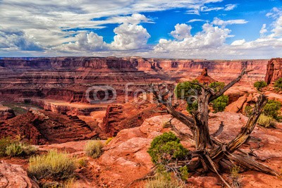 bvuhh, Dead Horse Canyon, USA (schlucht, uns, wüste, wolken, blue sky, weite, route 6)