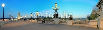 Blickfang, Brücke Alexander III Paris Abendstimmung (panorama, paris, brücke, sehenswürdigkeit, horizontale, beleuchtung, lampe, eiffelturm, abendstimmung, touristisc)