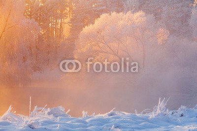 alexugalek, Winter background (winter, landschaft, hintergrund, schnee, baum, weihnachten, morgens, licht, frost, natur, wald, schöner, weiß, baum, jahreszeit, kalt, park, pinien, verschneit, blau, frostig, jan, natürlich, sonne, dezember, weihnachten, wetter, idyllisch, fro)
