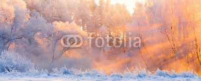 alexugalek, Christmas morning (winter, landschaft, schnee, weihnachten, hintergrund, natur, landschaft, wald, jahreszeit, blau, verschneit, weiß, kalt, frost, panoramisch, sonnenlicht, morgens, licht, sun rays, sonnenstrahl, sonne, natürlich, szene, park, landschaftlich, weihnachte)