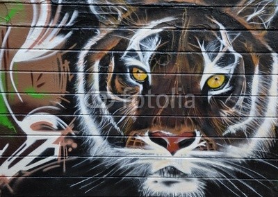 celeste clochard, tigre (tiger, katzenartig, tier, wildheit, raubkatze, wand, bemalt, malen, graffiti, gestreift, abstrakt, farbe, kunst, lis)