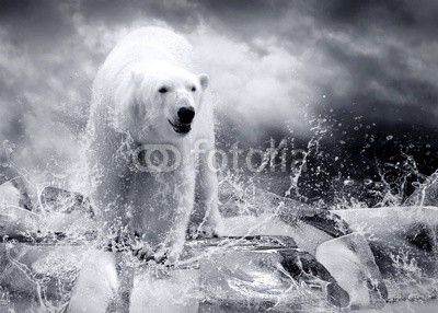 Andrii Iurlov, White Polar Bear Hunter on the Ice in water drops. (bär, tier, wasser, eis, natur, himmel, hunter, fallen lassen, antarktis, arktis, angriffslustig, hintergrund, groß, spiegelung, gefangener, gefangenschaft, wolken, wechseln, klima, gefährlich, destruction, gefährdet, aussterben, aussterben, pelz, heima)