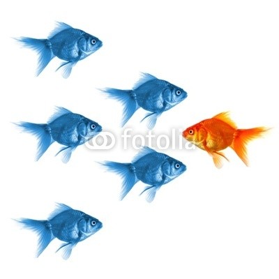 gunnar3000, goldfish (goldfisch, erfolg, individuell, individualität, gewinner, siegen, motivation, boss, chefkoch, ausländer, isoliert, weiß, backgrounds, konzept, menschenmenge, gruppe, business, anführer, führung, motivieren, job, anreiz, seltsam, ausländer, differen)