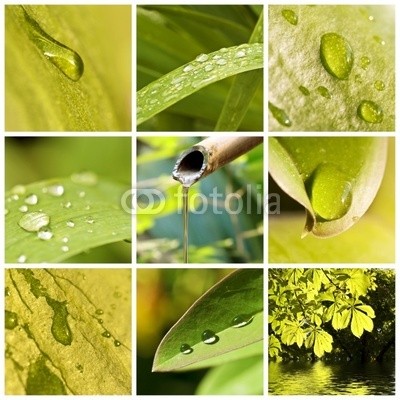 Delphotostock, Collage eau (wasser, gicht, papier, kraut, grün, natur, springbrunnen, bambus, japanisch, japan, besinnung, pflanze, natürlich, ökologie, ökologisch, gesunde, sauber, reinheit, schönheit, landen, zen, makro, grün, regen, tau, hydrate, hydration, wohlbefinde)