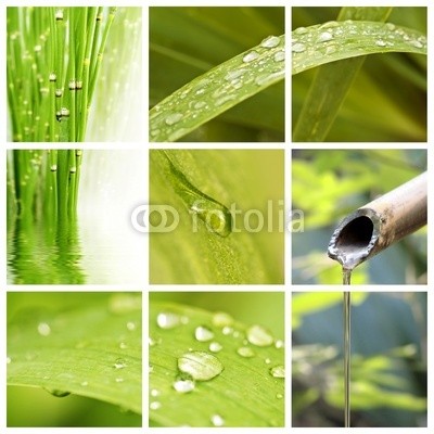 Delphotostock, Collage nature et eau (wasser, natur, gicht, papier, kraut, grün, springbrunnen, bambus, japanisch, japan, besinnung, pflanze, natürlich, ökologie, ökologisch, gesunde, sauber, reinheit, schönheit, landen, zen, makro, grün, regen, tau, hydrate, hydration, wohlbefinde)