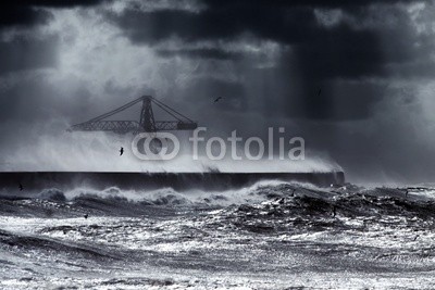 Zacarias da Mata, Windy coast (welle, windig, sturm, hafen, ozean, portugal, wind, atlantic, groß, blau, brise, klima, wolken, kalt, farbe, kräne, wirbelsturm, gefahr, dunkel, tage, katastrophe, dramatisch, energie, fließen, freiheit, gott, schwer, hoffnung, horizont, landschaf)