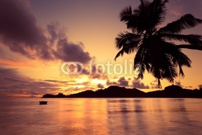 Beboy, Seychelles couché de soleil (seychellen, strand, kokospalme, palme, sonnenuntergänge, legen, sonne, ozean, tropics, tropics, tropisch, tropisch, exotismus, welle, meer, urlaub, vakanz, himmel, paradiesisch, palme, bucht, insel, lagune, indianer, kokos, reisen, körperhaltung, seasid)