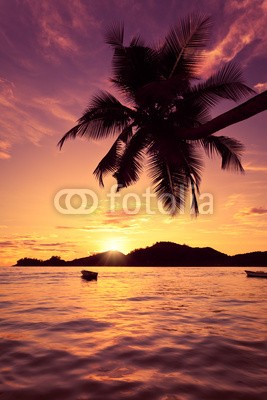 Beboy, Seychelles couché de soleil (seychellen, strand, kokospalme, palme, sonnenuntergänge, legen, sonne, ozean, tropics, tropics, tropisch, tropisch, exotismus, welle, meer, urlaub, vakanz, himmel, paradiesisch, palme, bucht, insel, lagune, indianer, kokos, reisen, körperhaltung, seasid)