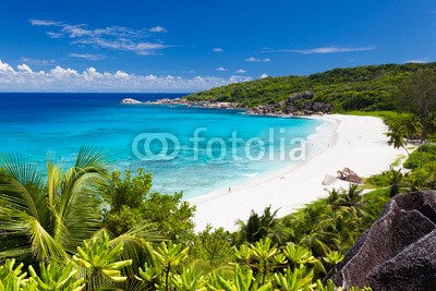 Beboy, seychelles plage (seychellen, strand, kokospalme, palme, ozean, tropics, tropics, tropisch, tropisch, exotismus, welle, meer, urlaub, vakanz, blues, türkis, himmel, paradiesisch, palme, bucht, groß, erwachsene, insel, lagune, indianer, kokos, sand, weiß, reisen, sonn)