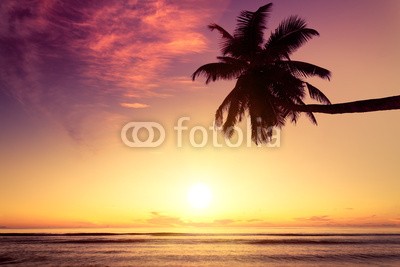 Beboy, Seychelles couché de soleil (seychellen, strand, kokospalme, palme, sonnenuntergänge, legen, sonne, ozean, tropics, tropics, tropisch, tropisch, exotismus, welle, meer, urlaub, vakanz, himmel, paradiesisch, palme, bucht, insel, lagune, indianer, kokos, reisen, körperhaltung, seasid)