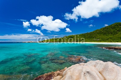 Beboy, seychelles (seychellen, strand, ozean, tropics, tropics, tropisch, tropisch, exotismus, welle, meer, urlaub, vakanz, blues, türkis, himmel, paradiesisch, bucht, insel, lagune, indianer, kokos, sand, weiß, reisen, sonne, körperhaltung, seaside, beere, landschaf)