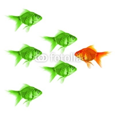 gunnar3000, goldfish (goldfisch, erfolg, individuell, individualität, gewinner, siegen, motivation, boss, chefkoch, ausländer, isoliert, weiß, backgrounds, konzept, menschenmenge, gruppe, business, anführer, führung, motivieren, job, anreiz, seltsam, ausländer, differen)