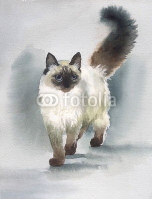 Nadiia Starovoitova, Watercolor Animal Collection: Cat (katze, haustier, tier, retro, katze, katze, ament, katzenbaby, baby, wasser, wasserfarben, kunst, papier, klang, wash, vorlage, karte, zeichnung, abbildung, clipart, malerei, shading, grafik, entwerfen, sketch, pinselstrich, ausdruck, symbolisch, bunt, bl)