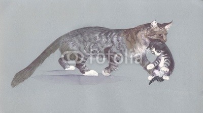 Nadiia Starovoitova, Watercolor Animal Collection: Cat (katze, haustier, tier, retro, katze, katze, ament, katzenbaby, baby, wasser, wasserfarben, kunst, papier, klang, wash, vorlage, karte, zeichnung, abbildung, clipart, malerei, shading, grafik, entwerfen, sketch, pinselstrich, ausdruck, symbolisch, bunt, bl)