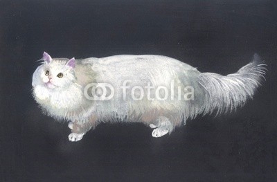 Nadiia Starovoitova, Watercolor Animal Collection: Cat (wasser, wasserfarben, kunst, papier, klang, wash, vorlage, karte, zeichnung, abbildung, clipart, malerei, shading, grafik, entwerfen, sketch, pinselstrich, ausdruck, symbolisch, bunt, haustier, katze, blau, grau, weiß, alt, jahrgang, tier, retro, katz)