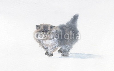Nadiia Starovoitova, Watercolor Animal Collection: Cat (wasser, wasserfarben, kunst, papier, klang, wash, vorlage, karte, zeichnung, abbildung, clipart, malerei, shading, grafik, entwerfen, sketch, pinselstrich, ausdruck, symbolisch, bunt, haustier, katze, blau, grau, weiß, alt, jahrgang, tier, retro, katz)