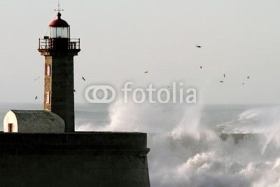 Zacarias da Mata, Storm (stürmisch, sturm, welle, leuchtturm, atlantic, herbst, leuchtfeuer, groß, vögel, kalamität, klima, farbe, wirbelsturm, gefahr, dunkel, tage, katastrophe, dramatisch, energie, fließen, freiheit, gott, schwer, hoffnung, horizont, orkan, landschaft, lich)