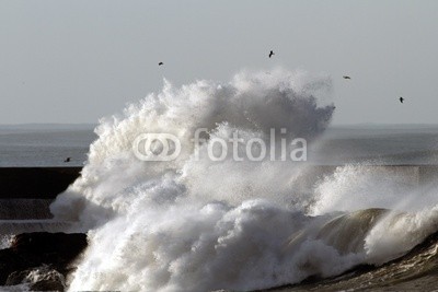 Zacarias da Mata, Stormy wave (stürmisch, sturm, winter, wind, welle, atlantic, herbst, leuchtfeuer, groß, kalamität, klima, farbe, wirbelsturm, gefahr, dunkel, tage, katastrophe, dramatisch, energie, fließen, freiheit, gott, schwer, hoffnung, horizont, orkan, landschaft, lich)