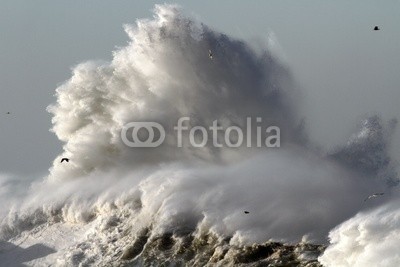 Zacarias da Mata, Stormy wave (meer, ozean, stürmisch, sturm, wind, welle, atlantic, herbst, leuchtfeuer, groß, kalamität, klima, farbe, wirbelsturm, gefahr, dunkel, tage, katastrophe, dramatisch, energie, fließen, freiheit, gott, schwer, hoffnung, horizont, orkan, landschaft, lich)