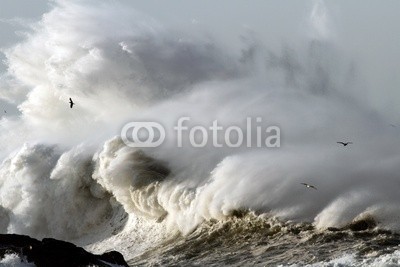 Zacarias da Mata, Stormy Waves (welle, sturm, stürmisch, ozean, groß, atlantic, herbst, kalamität, klima, farbe, wirbelsturm, gefahr, dunkel, tage, katastrophe, dramatisch, energie, fließen, freiheit, gott, schwer, hoffnung, horizont, orkan, landschaft, licht, marin, natur, drauße)