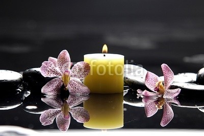 Mee Ting, burning candle and zen stones with pink orchid (alternative, aromatherapie, schönheit, schwarz, anbrennen, körper, kerze, pflege, close-up, details, tau, entladen, exotisch, blume, gesundheit, life, luxus, natürlich, natur, orchid, rosa, kieselstein, erholung, kräuseln, fels, beruhigt, spa, frühlin)