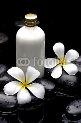 Mee Ting, Two frangipani flowers and massage oil on pebbles (aroma, aromatherapie, schwarz, blühen, blühen, close-up, details, exotisch, floral, blume, duftend, frangipanibaum, frisch, boden, grunge, lebensstil, flüssigkeit, lotion, makro, medizin, natürlich, natur, kieselstein, duft, pflanze, fels, spa, stein)