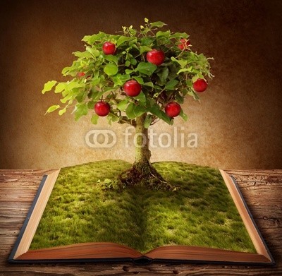 Elena Schweitzer, Book of knowledge (erkenntnis, baum, uralt, leere, buch, braun, collage, exemplar, ausbildung, leer, fantasy, auskunft, bibliothek, licht, literatur, magisch, mysterium, niemand, objekt, alt, öffnen, blatt, lesen, schule, wissenschaft, sepia, bettuch, raum, story, symbo)