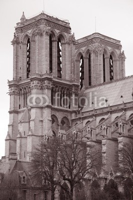 kevers, Notre Dame Cathedral in Paris, France (paris, frankreich, schwarzweiß, sepia, klang, orientierungspunkt, kirche, religion, römisch-katholisch, reisen, tourismus, sightseein)