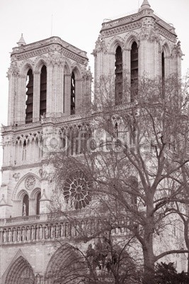 kevers, Notre Dame Cathedral in Paris, France (paris, frankreich, schwarzweiß, sepia, klang, orientierungspunkt, kirche, religion, römisch-katholisch, reisen, tourismus, sightseeing, bau)
