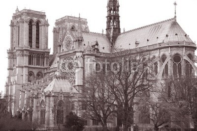 kevers, Notre Dame Cathedral in Paris, France (notre dame, dom, kirche, gebäude, architektur, religion, fassade, römisch-katholisch, orientierungspunkt, sightseeing, paris, frankreich, fensterros)