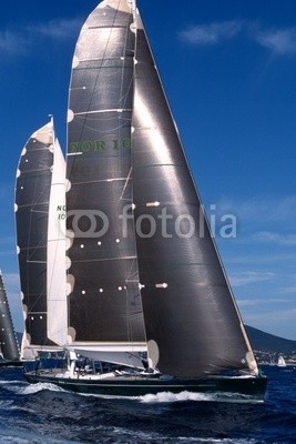 linous, Les Voiles de Saint Tropez (segelsport, regatta, schiff, meer, segel, boo)