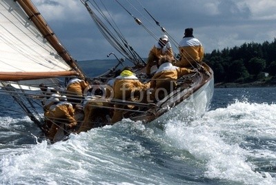 linous, Fife Regatta / Schottland / The Lady Anne (regatta, segelsport, boot, schiff, rückseite, crew, display, gischt, meer, gelb, gespan)