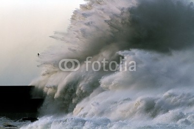 Zacarias da Mata, Ocean Waves (stürmisch, sturm, pfeiler, welle, atlantic, herbst, groß, vögel, kalamität, klima, farbe, wirbelsturm, gefahr, dunkel, tage, katastrophe, dramatisch, energie, fließen, freiheit, gott, schwer, hoffnung, horizont, orkan, landschaft, licht, marin, natu)