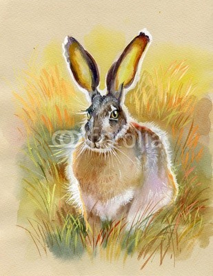 Nadiia Starovoitova, Bunny gray (tier, kunst, backgrounds, grau, hase, frühling, ostern, gras, beige, single, exemplar, paar, hübsch, ohr, fein, front, pelzig, hand, horizontale, abbildung, säugetier, natur, sitzend, raum, art, anblick, barthaare, gelb, grafik, sketch, nass, postkart)