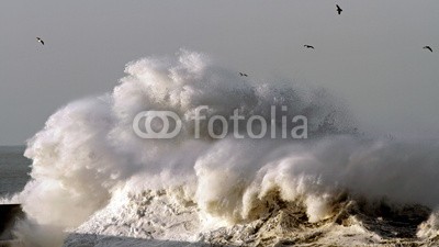 Zacarias da Mata, Stormy waves (groß, ozean, meer, sturm, stürmisch, welle, atlantic, herbst, vögel, kalamität, klima, farbe, wirbelsturm, gefahr, dunkel, tage, katastrophe, dramatisch, energie, fließen, freiheit, gott, schwer, hoffnung, horizont, orkan, landschaft, licht, mari)