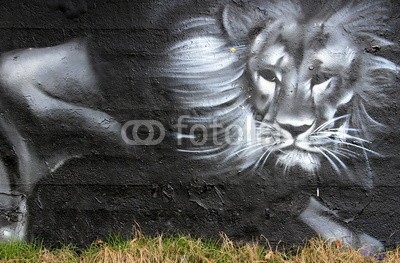 celeste clochard, roi des animaux (löwe, graffiti, hauptstädtisch, tier, wildheit, ausdruck, wand, gischt, farbe, kunst, zürich, abstrakt, fassade, könige, d', tie)