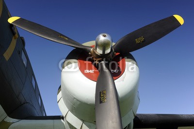 morane, moteur de DC3 (flugzeug, flieger, wohlstand, aeronautisch, luft, luftfahrt, alt, sammlung, douglas, luftig, zeigen, story, historisch, engineer, museum, fahrgäste, fahrer, cockpit, spirale, technologie, transport, schwarm, fliegender, anblick, parkplatz, blue sky, fende)