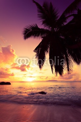 Beboy, Coucher de soleil vacances (seychellen, strand, kokospalme, palme, sonnenuntergänge, legen, legen, sonnenuntergänge, sonne, ozean, malediven, karibik, westindische inseln, dominikanische republik, staatenbund, dominikaner, tropics, tropics, tropisch, tropisch, exotismus, welle, mee)