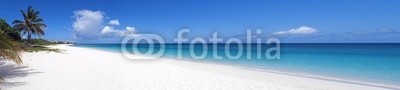 FER737NG, Caribbean beach. (strand, paradise, karibik, meer, blau, ozean, palme, baum, küste, küste, sand, urlaub, traum, schwarm, bellen, hell, sommer, insel, seelandschaft, natur, tropisch, reisen, wolken, küstenlinie, türkis, paradiesisch, froh, schöner, gelassenhei)