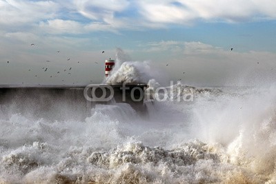 Zacarias da Mata, WAVES (stürmisch, sturm, tsunamis, wirbelsturm, welle, atlantic, leuchtfeuer, groß, blau, kotelette, klima, wolken, bewölkt, farbe, gefahr, dunkel, tage, katastrophe, duero, dramatisch, energie, fließen, freiheit, gott, schwer, hoffnung, orkan, landschaf)