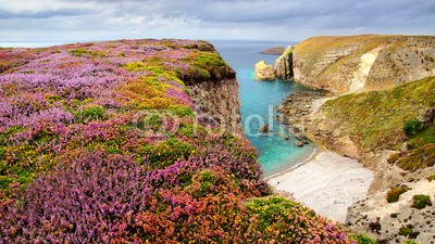 Marina Ignatova, Cap Frehel.  Brittany, France (meer, küstenlinie, ozean, kante, atlantic, reisen, wasser, natur, seelandschaft, berühmt, safety, äusseres, nautisch, hafen, bretagne, frankreich, heidekraut, ländliche, umhängen, szene, jahreszeit, pflanze, gras, idyllisch, feld, umwelt, wiese, wette)