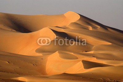 forcdan, Abu Dhabi's desert dunes (oden, sanddünen, abu, arabien, arabisch, sand, dürre, barren, emirate, verfärbt, verfärbt, trocken, dubai, ost, leer, einsamkeit, mitte, natur, omaner, halbinsel, viertel, entfernt, einreiben, saudi, szene, landschaftlich, einsamkeit, beruhigt, reise)
