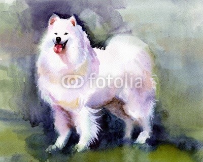 Nadiia Starovoitova, Watercolor Animal Collection: Dog (abstrakt, tier, kunst, pinselstrich, karte, clipart, bunt, entwerfen, hund, zeichnung, ausdruck, grafik, glückwunschkarte, abbildung, alt, malerei, papier, retro, shading, sketch, symbol, symbolisch, vorlage, klang, jahrgang, wash, wasser, wasserfarbe)