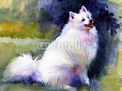 Nadiia Starovoitova, Watercolor Animal Collection: Dog (abstrakt, tier, kunst, pinselstrich, karte, clipart, bunt, entwerfen, hund, zeichnung, ausdruck, grafik, glückwunschkarte, abbildung, alt, malerei, papier, retro, shading, sketch, symbol, symbolisch, vorlage, klang, jahrgang, wash, wasser, wasserfarbe)